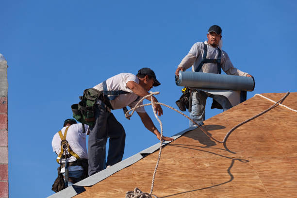 Best Roof Maintenance Services  in Country Club Hls, IL